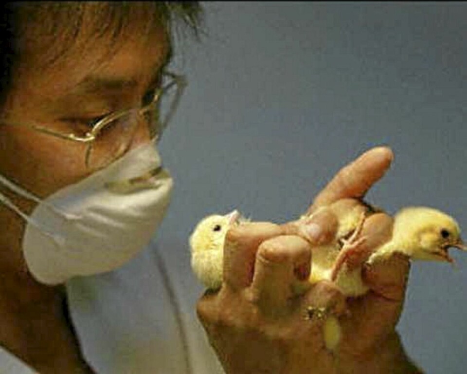 Her er verdens ti særeste yrker