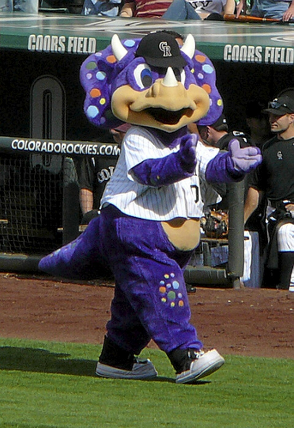 Her er verdens ti særeste yrker