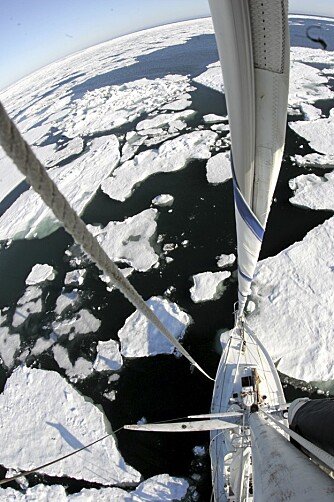 Seilskute-liv i arktisk farvann er ikke for pyser. Eller for folk med høydeskrekk.