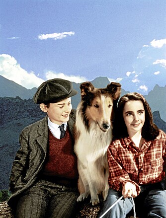 Liz var en stjerne allerede som barn. Hun debuterte i filmen "Lassie Come Home" fra 1943. Da var hun 11 år.