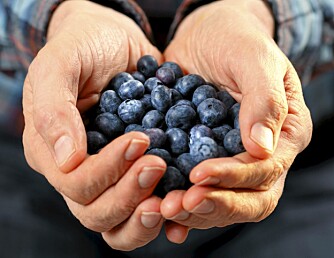 Deilige blåbær, proppfulle av antioksidanter, er blant matvarene som karakteriseres som "supermat".