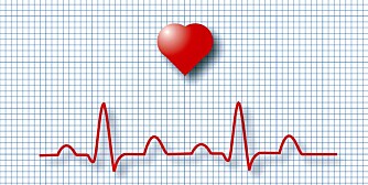 HJERTERYTMEN endres gjennom døgnet - det gjør også faren for hjertesykdommer.