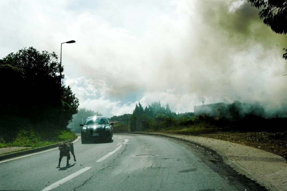 BRANN: Det brenner langs veikanten ved Propriano.