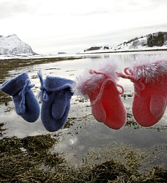 De søte barnevottene er like vakre som den isbelagte naturen på Kjerringøy selv. (Foto: Christin Lund)
