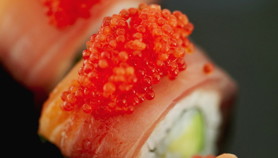 MILD: Sushi og Farris sine milde smaker er som skapt for hverandre.