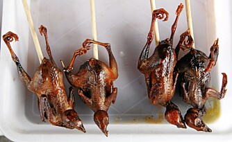 I Kina kan som regel alt som kaster skygge spises. Her et lite utvalg av grilla småfugler.