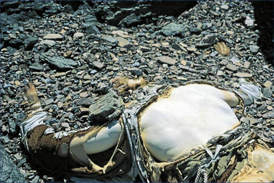 George Mallory ble funnet nedenfor nordøstryggen i 1999. Slik hadde kroppen ligget i 75 år.