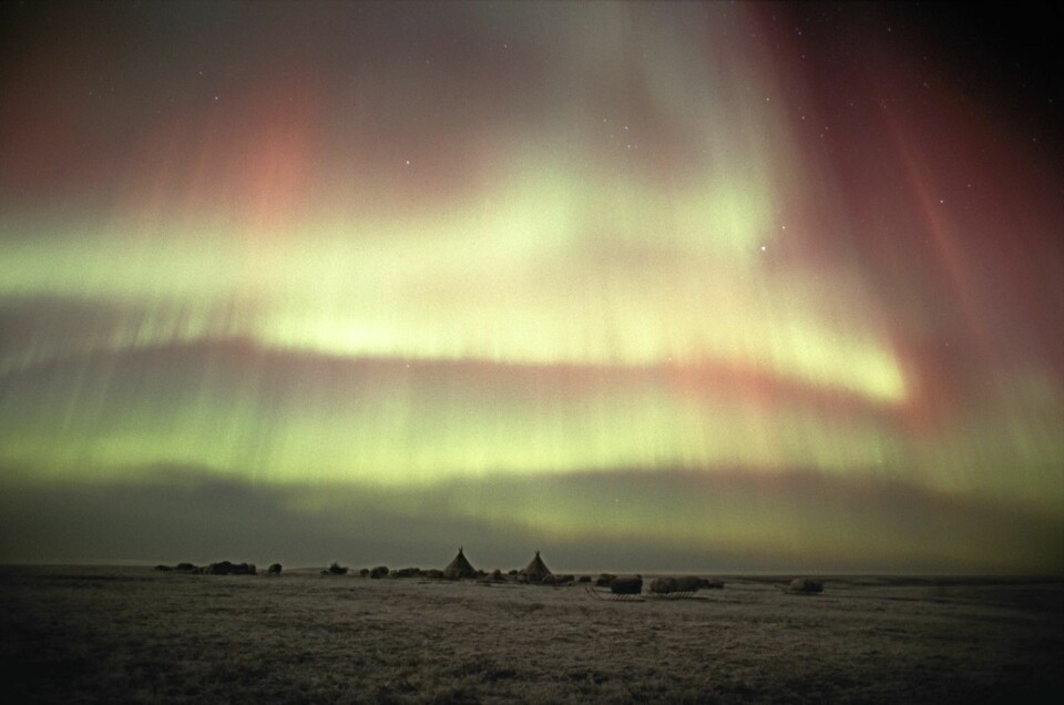 Det utrolige nordlyset er så kraftig at man kan lese avisen i lyset fra det.