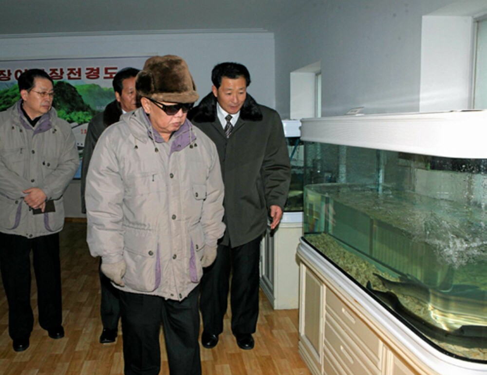 Kim Jung Il ser på akvarium.