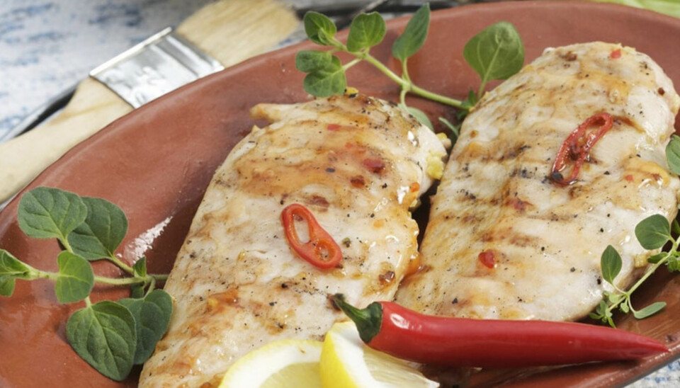 Dagens rett: Kyllingfilet med ingefær og chili