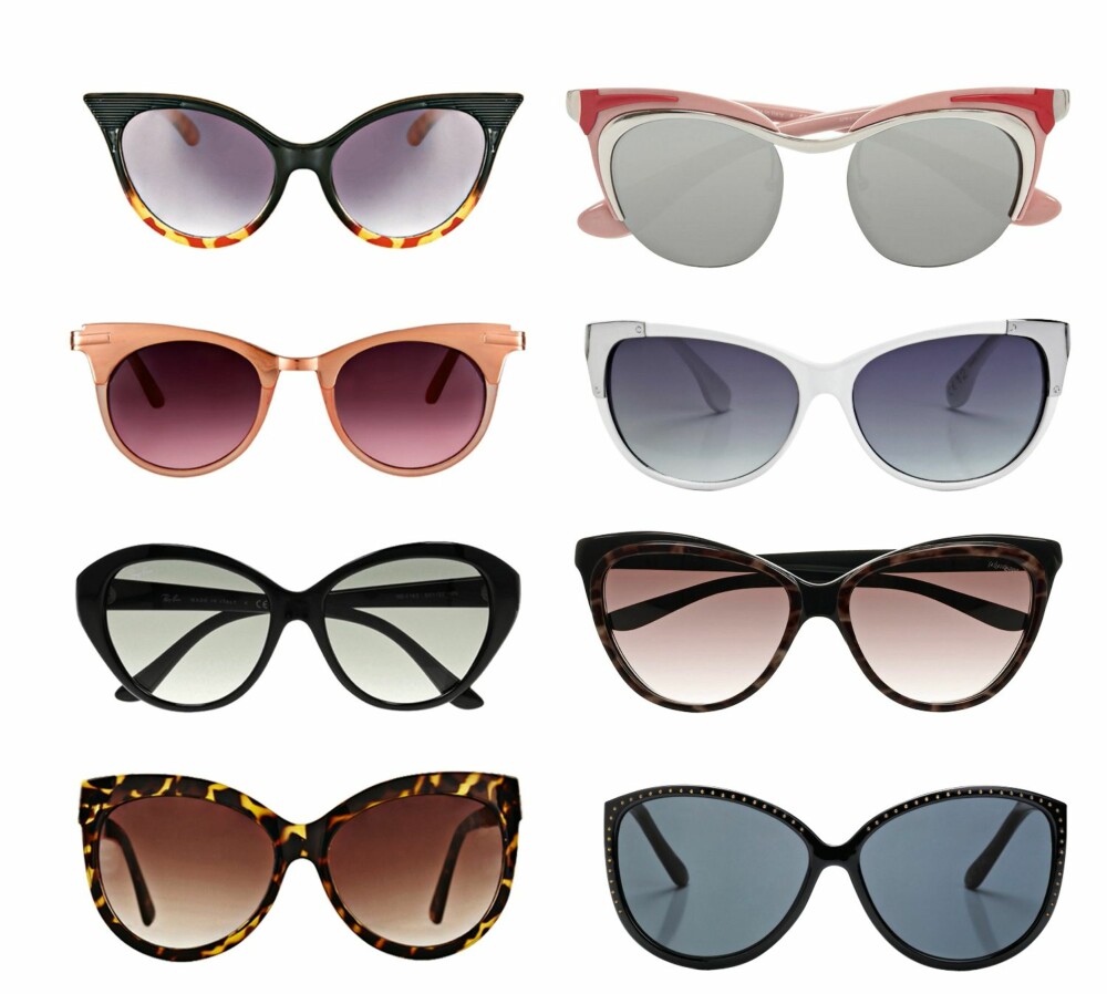 KATTEØYNE: Øverst fra venstre: Svarte med gule og rød detaljer fra Asos, kr 125. Rosa bro fra Prada, kr 2740. Orange kanter fra Asos, kr 125. Metalldetaljer fra Mango, kr 219. Svarte fra Ray Ban, kr 1100. Brunspettet fra YSL, kr 2550. Spettet fra Aldo, kr 99. Med diamanter fra Mango, kr 219. KATTEØYNE: Øverst fra venstre: Svarte med gule og rød detaljer fra Asos, kr 125. Rosa bro fra Prada, kr 2740. Orange kanter fra Asos, kr 125. Metalldetaljer fra Mango, kr 219. Svarte fra Ray Ban, kr 1100. Brunspettet fra YSL, kr 2550. Spettet fra Aldo, kr 99. Med diamanter fra Mango, kr 219.