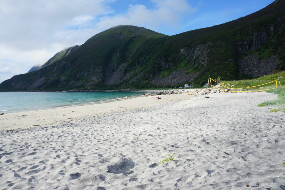 STRANDLIV: Slike strender finner du flere av på Senja. Men sjekk tempen med tåa før du kaster deg uti. FOTO: Geir Svardal
STRANDLIV: Slike strender finner du flere av på Senja. Men sjekk tempen med tåa før du kaster deg uti. FOTO: Geir Svardal