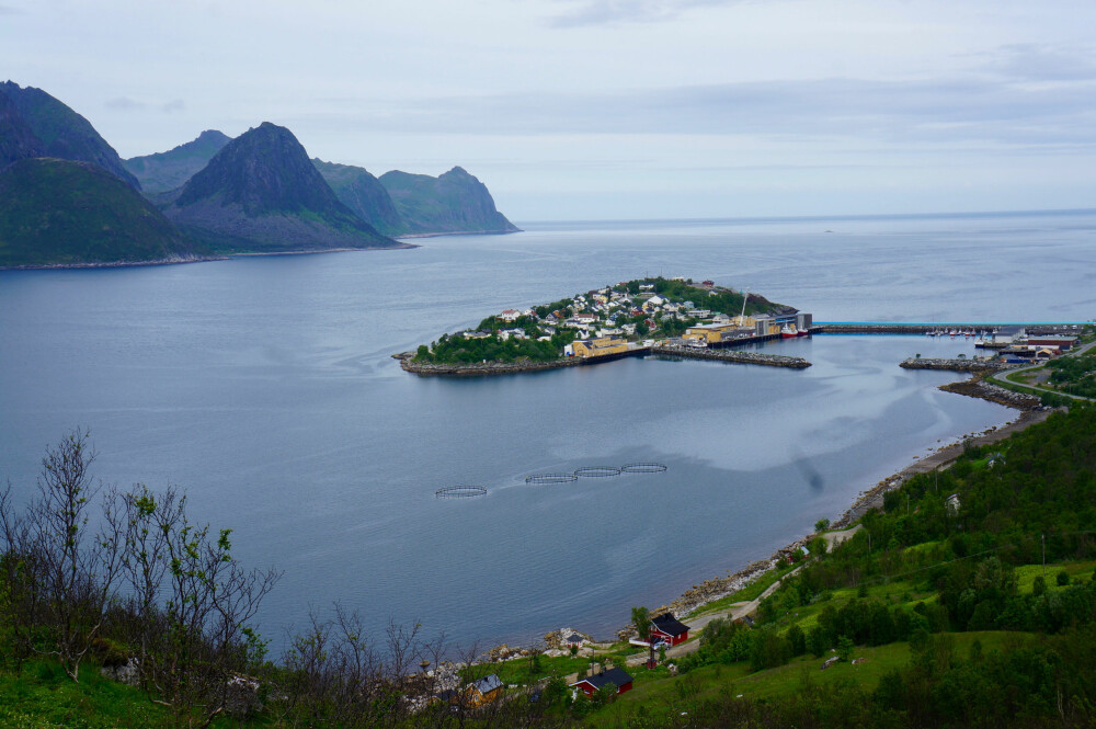 FISKEVÆR: Fiskeværet Husøy er under én kvadratkilometer stort. FOTO: Geir Svardal FISKEVÆR: Fiskeværet Husøy er under én kvadratkilometer stort. FOTO: Geir Svardal