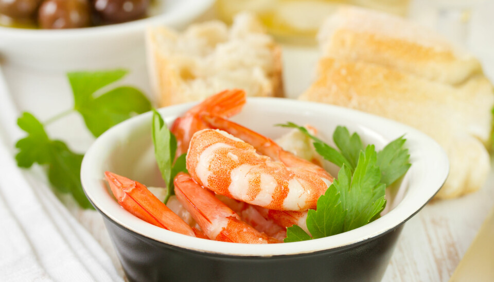 SØVNDYSSENDE: Reker er rike på tryptofan og skal derfor bidra til god søvn.