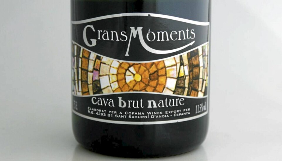 TEST AV CAVA: Vi har testet cava. Her er den beste under 120 kroner.