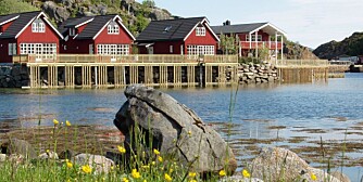 ROMANTISK ØY: En perle av et sted hos et varmt og proft vertskap på Lofoten Rorbusuiter.