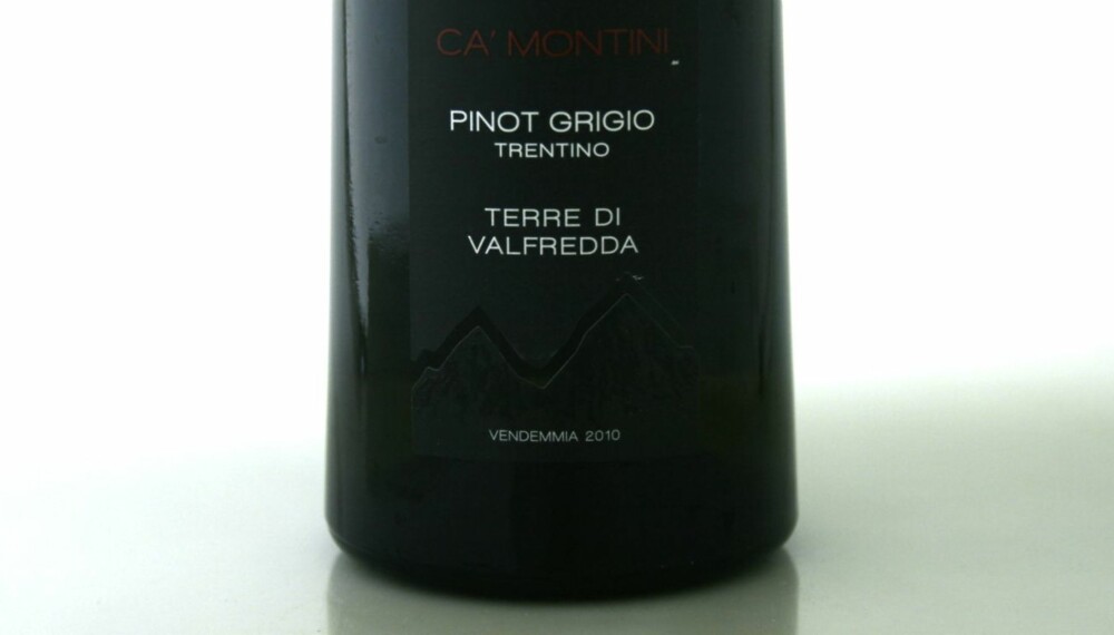 TEST AV PINOT GRIGIO: Ca' Montini Pinot Grigio Trentino Terre di Valfredda 2010 kom på delt tredjeplass.