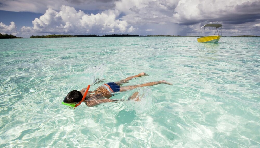 KARIBIEN: Både voksne og barn drømmer om snorkling i Karibien.