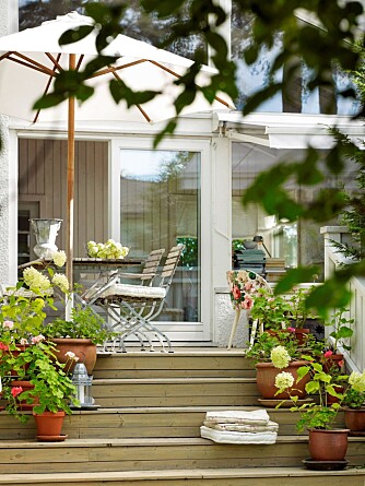 Trappetrinnene fra terrassen til hagen er fine sitteplasser, og egner seg godt for krukker og blomster av alle slag.