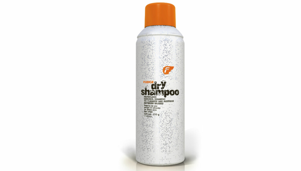TEST: Fudge Dry Shampoo