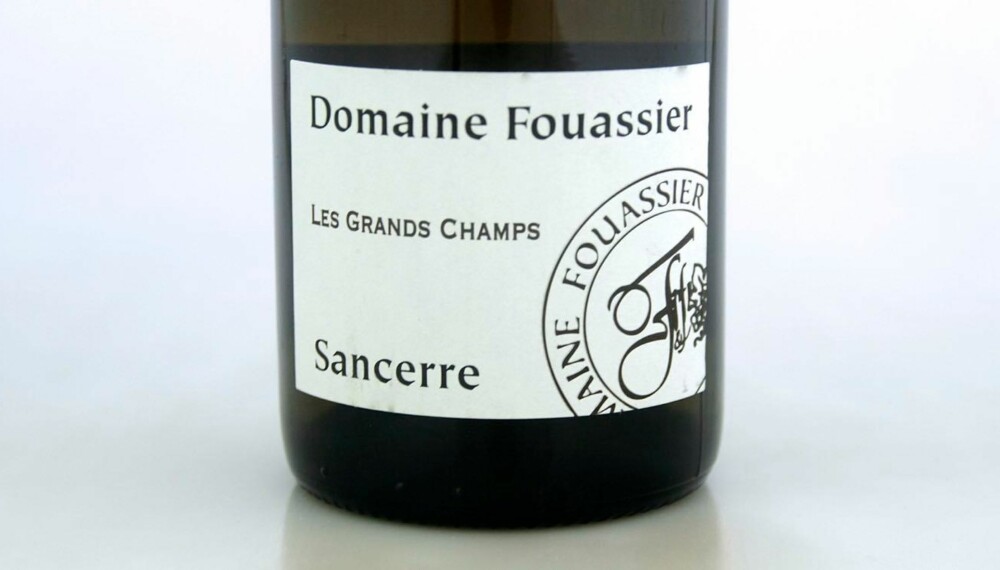 ØKOLOGISK: Fouassier Sancerre Les Grands Champs 2013
