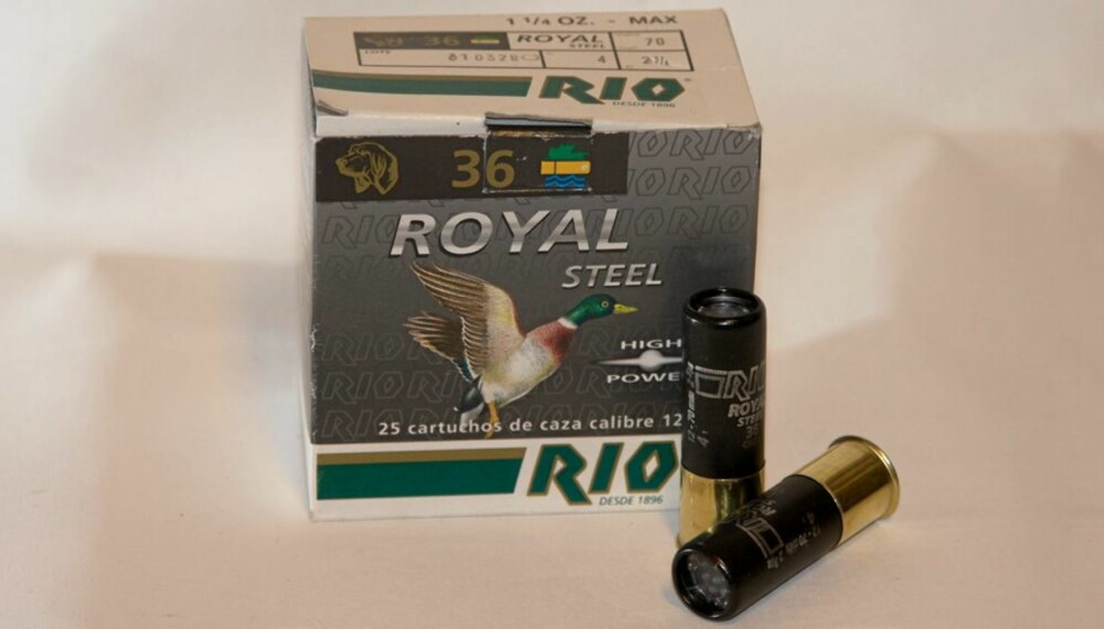 Rio Royal Steel 36 US4