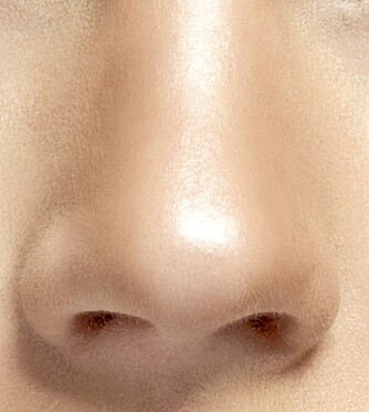 NESEFIN: Skygge på sidene gjør at nesen ser smalere ut. Dette trikset blir hyppig brukt av for eksempel Tyra Banks og Jennifer Lopez.
