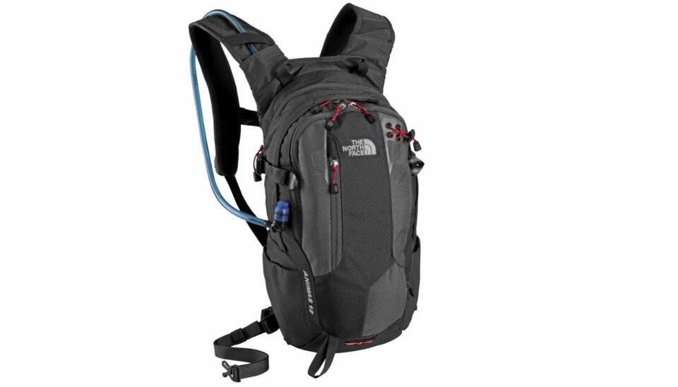 The North Face Animas 12