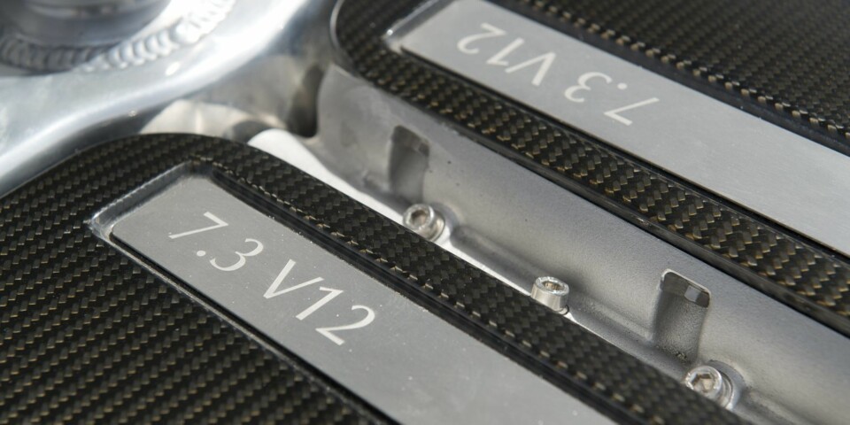 Den har én stor svakhet