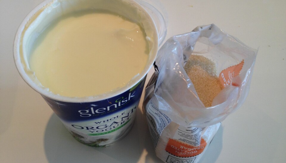 YOGHURT OG SUKKER: Sjekk hva hudlegen råder deg til å bruke på huden. FOTO: Trine Jensen