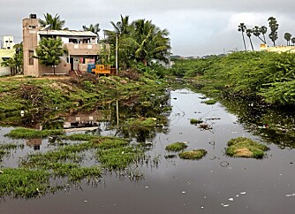 EN AV DE VERSTE I VERDEN: Grunnvannet, elvevannet, flomvannet og sett alt som er flytende i Ranipet, er sterkt forurenset.