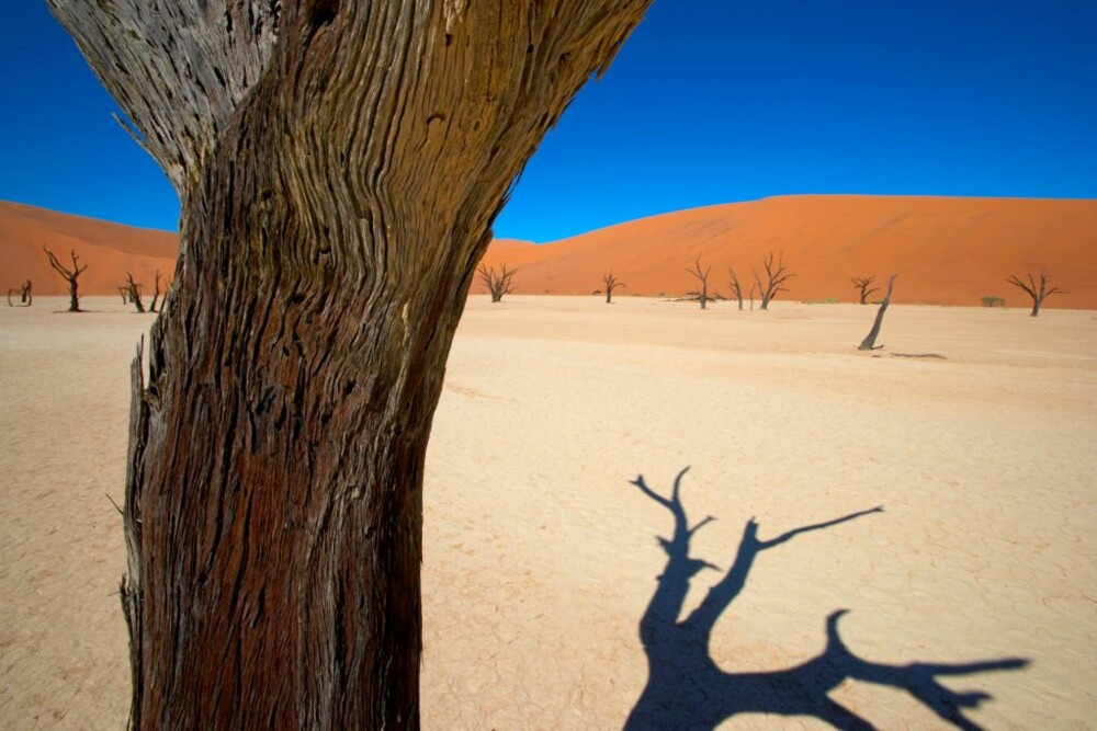 ØRKENLAND: Sand og ørken er det nok av i Namibia.