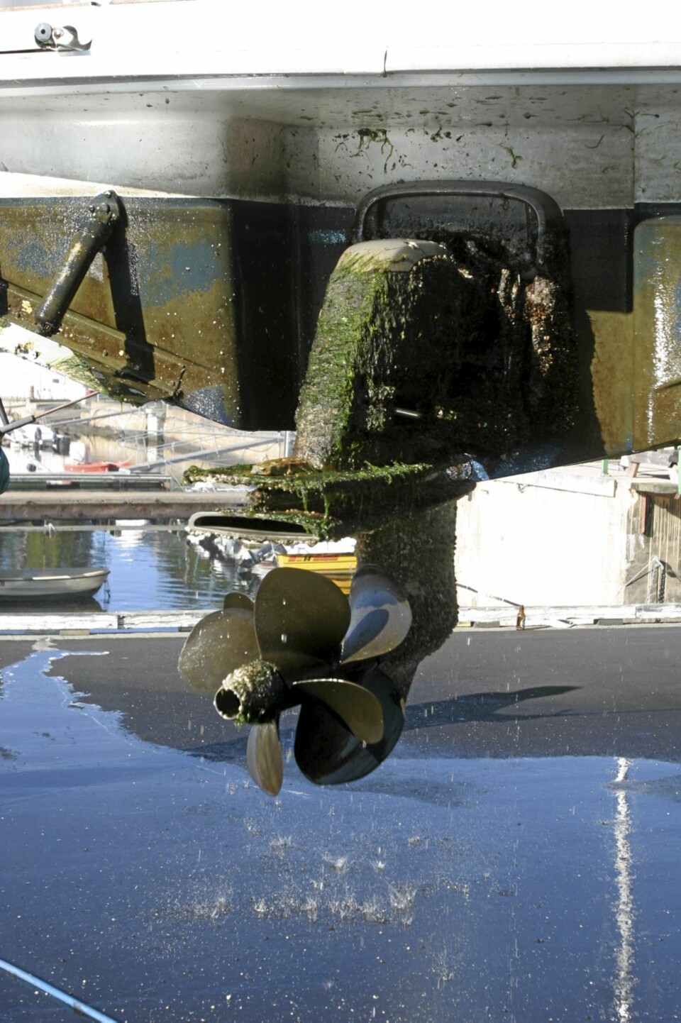 Sjekk alltid propellen og sinkanodene.