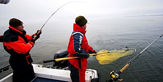 KJØRER FISK: Terje kjører fisk og guiden spretter bak i båten for å håve.