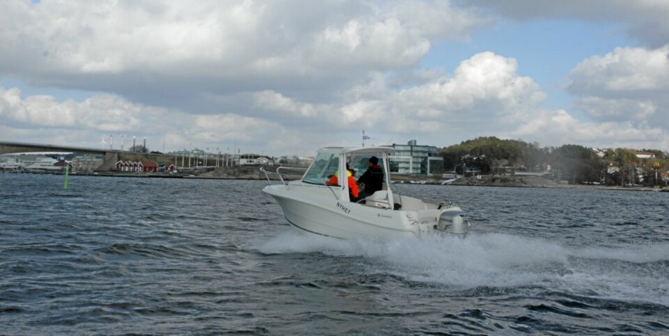 Enkel fiskeglede