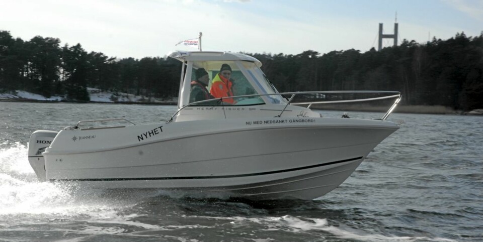 Enkel fiskeglede