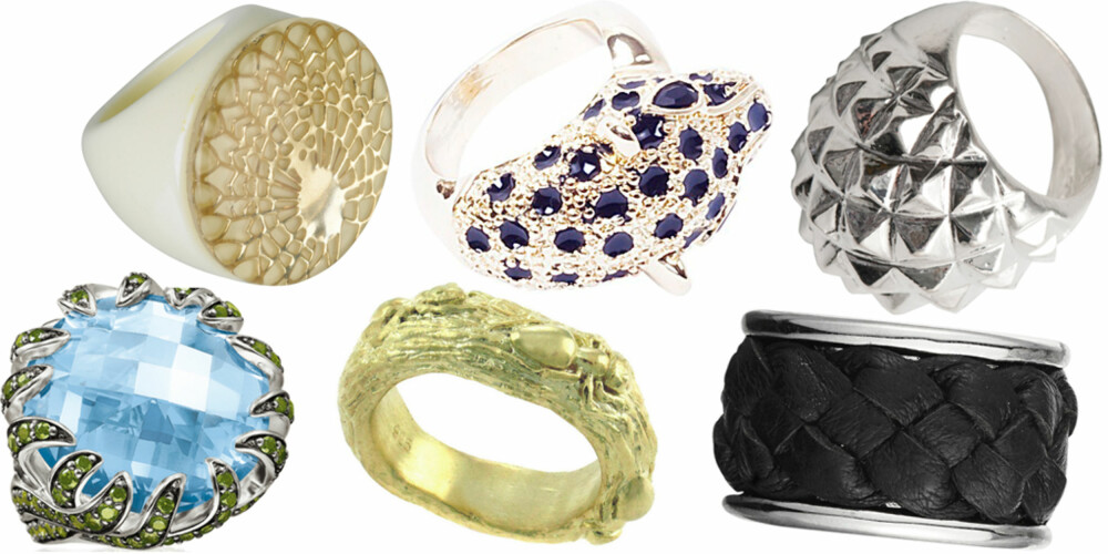 FRA VENSTRE: Thomas Sabo (kr 2498), Bik Bok (kr 49), Bjørg Jewellery (kr 1600), Glitter (kr 89,90), Dyrberg/Kern (kr 675), JC (kr 39,90). FRA VENSTRE: Thomas Sabo (kr 2498), Bik Bok (kr 49), Bjørg Jewellery (kr 1600), Glitter (kr 89,90), Dyrberg/Kern (kr 675), JC (kr 39,90).