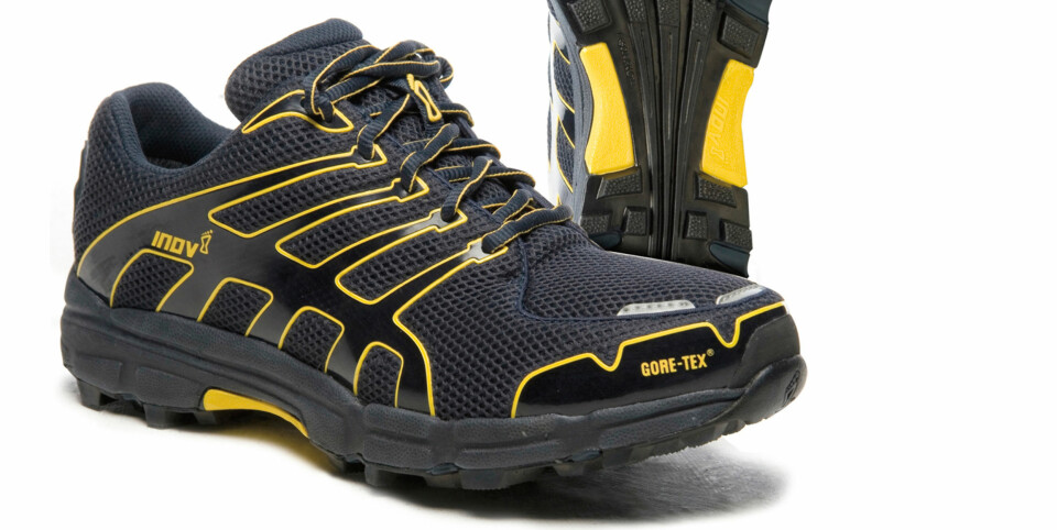 Inov-8 Roclite 312