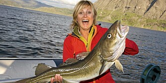 MATAUK: Fisk middagen selv i Lofoten.