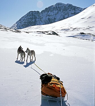 SNØSOMMER: Får du ikke nok snø om vinteren, kan du legge sommerferien til Svalbard.