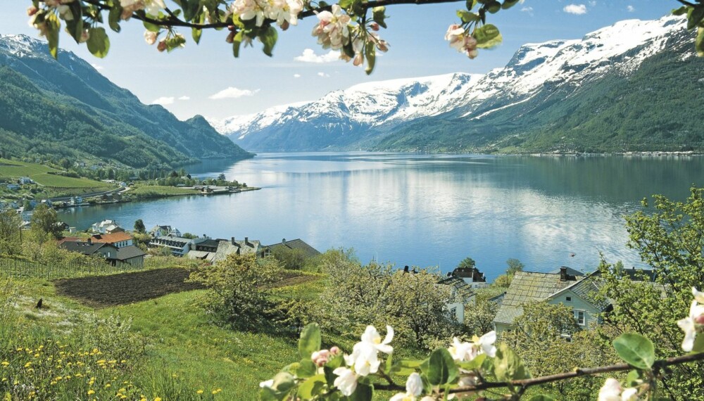 IDYLLISK: Få steder er like vakre som Hardanger.