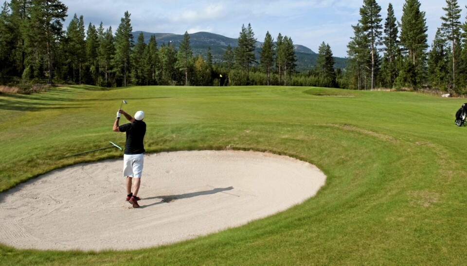 GOLFDRØMMEN: Har du fått nok av havørner i Lofoten, kan du satse på en eagle i Trysil.