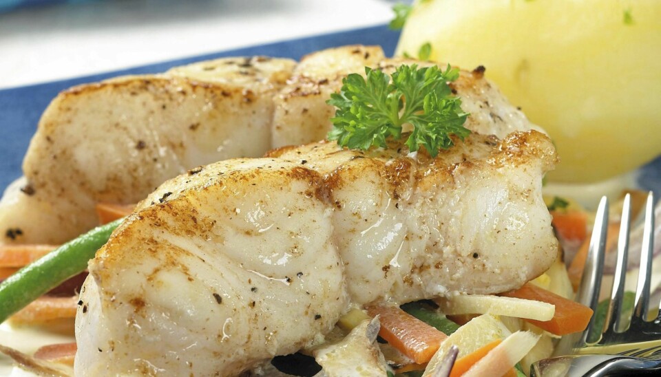 Steinbiten er en fantastisk fisk, her serverer vi den med rotgrønnsaker.