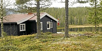 TOMTEKUPP: I innlandet. TOMTEKUPP: I innlandet.