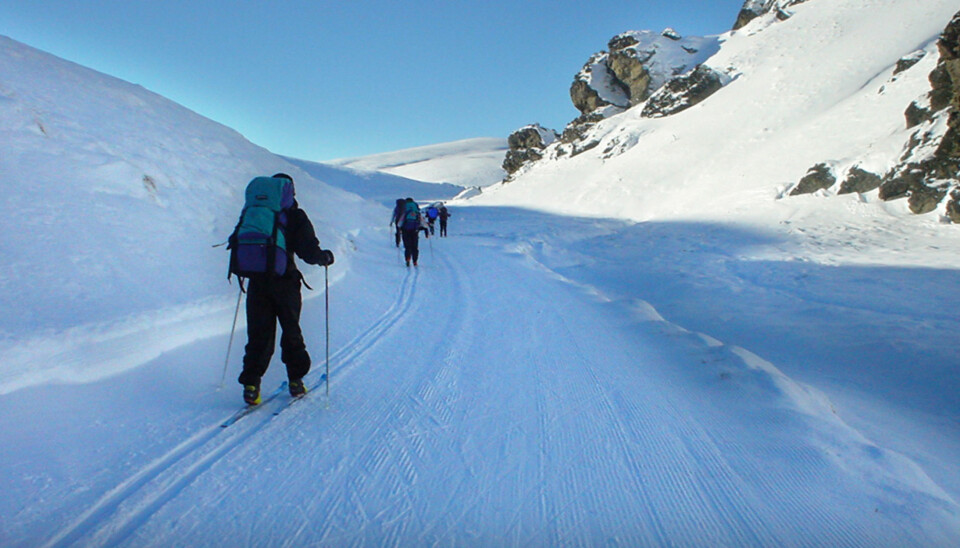 Vi har testet ski som kan rukes på fjellet og i marka.
