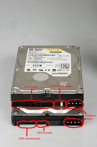 KONTAKTER: Den øverste disken er en IDE-harddisk, mens den nederste er SATA. Legg merke til at denne SATA-disken også har vanlig firepins molex strømkontakt.