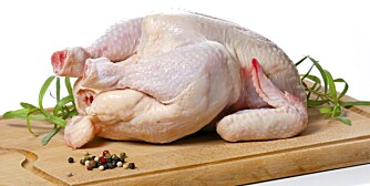SUNT: Kylling regnes som et sunt kjøtt fordi det er proteinrikt men samtidig magert på mettet fett.