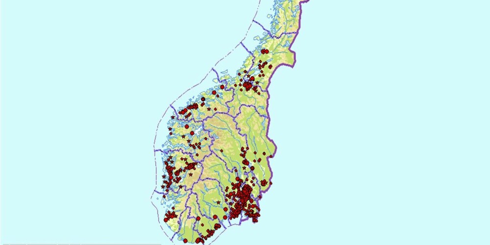 FYLDIG: Dette kartsnittet viser spredningen traktkantarellens spredning i Norge. Du kan zoome inn så nærme huset ditt du vil, og se om det er rapportert inn kantarellfunn et sted nær deg. Er det ikke det, kan du rapportere inn hvis du finner kantarell.