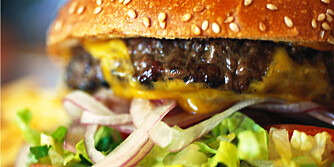 HAMBURGER: Det er stor forskjell på kjøttkvaliteten på hamburgere. Noen er laget på en farse som ofte inneholder mye salt og fett og lite protein. ILLUSTRASJONSFOTO: Colorbox HAMBURGER: Det er stor forskjell på kjøttkvaliteten på hamburgere. Noen er laget på en farse som ofte inneholder mye salt og fett og lite protein. ILLUSTRASJONSFOTO: Colorbox