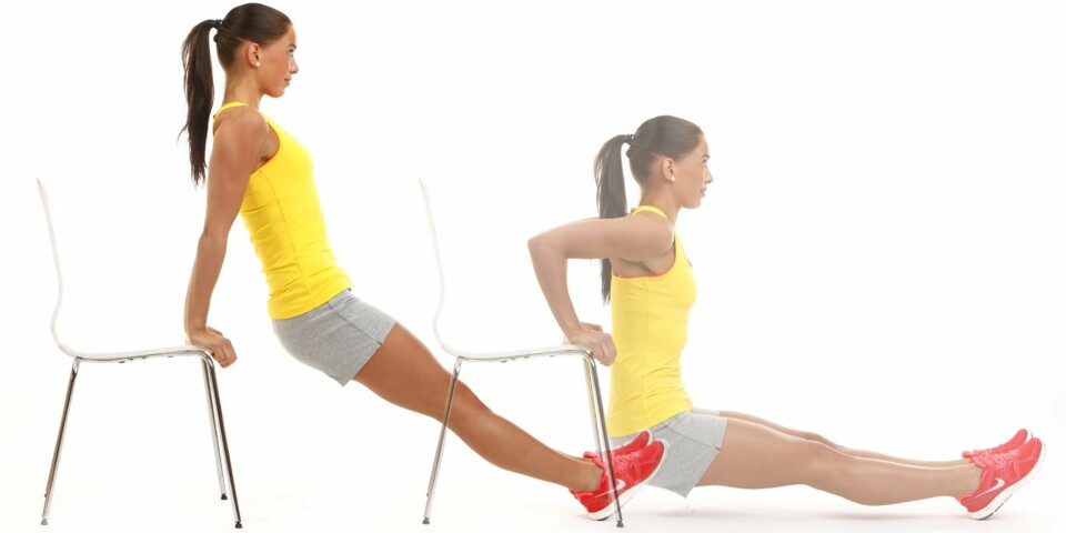 3 - DIPS MOT STOL